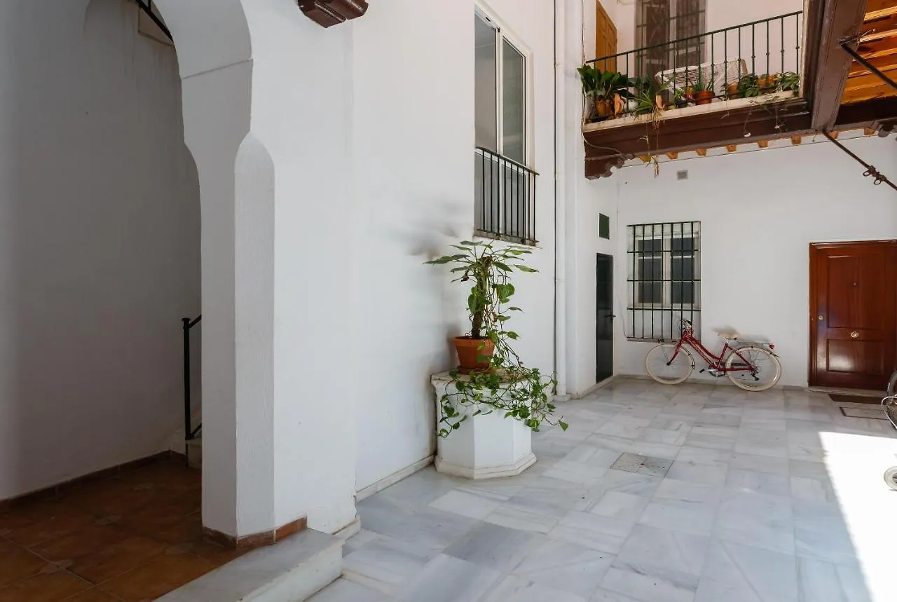 Apartamento Loft In Traditional Casa Patio Cádiz 0*,  España